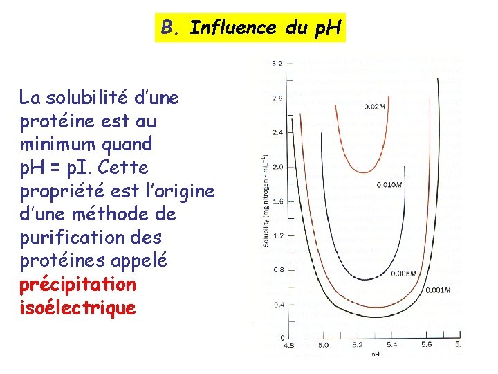 B. Influence du p. H La solubilité d’une protéine est au minimum quand p.