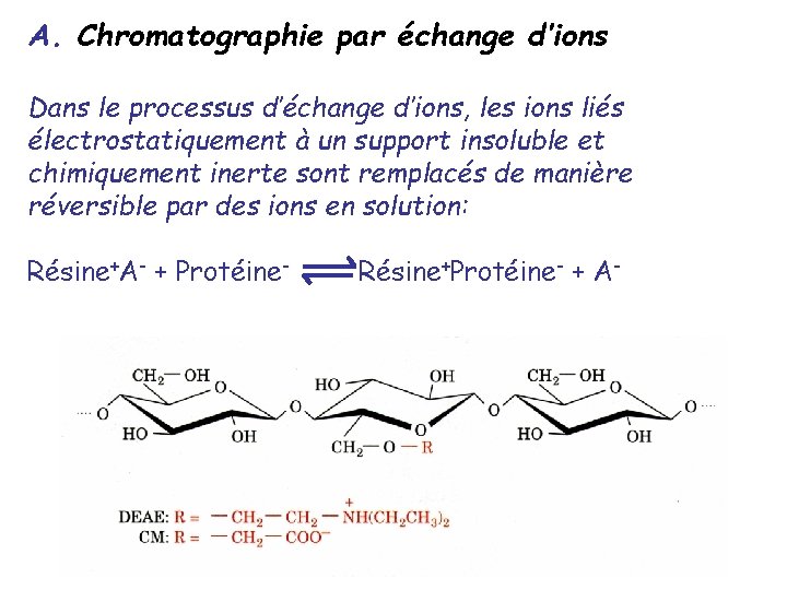 A. Chromatographie par échange d’ions Dans le processus d’échange d’ions, les ions liés électrostatiquement