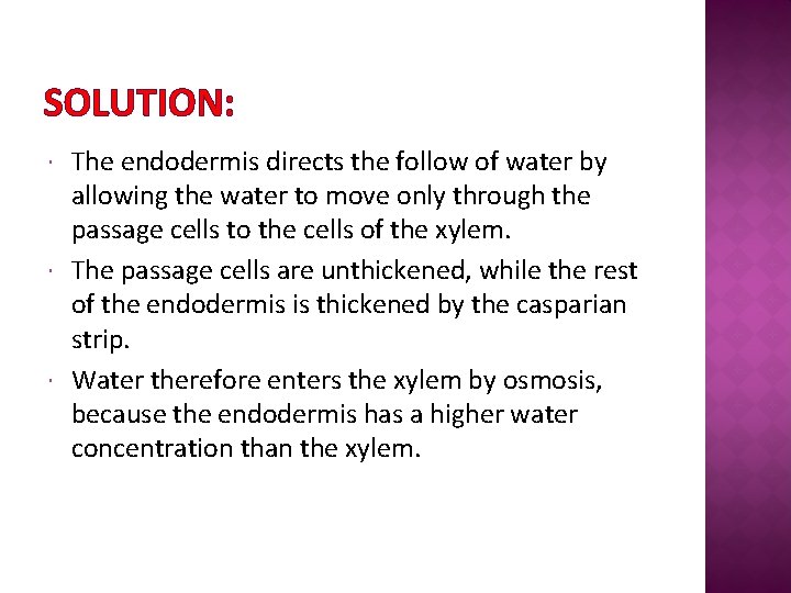 SOLUTION: The endodermis directs the follow of water by allowing the water to move