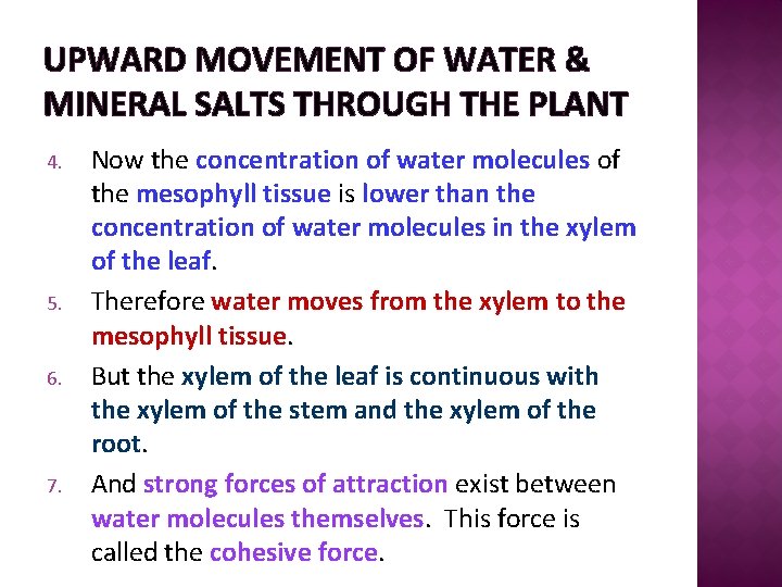 UPWARD MOVEMENT OF WATER & MINERAL SALTS THROUGH THE PLANT 4. 5. 6. 7.