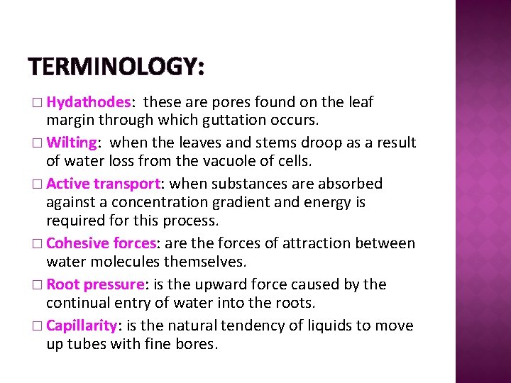 TERMINOLOGY: � Hydathodes: these are pores found on the leaf margin through which guttation