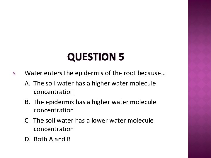 QUESTION 5 5. Water enters the epidermis of the root because… A. The soil