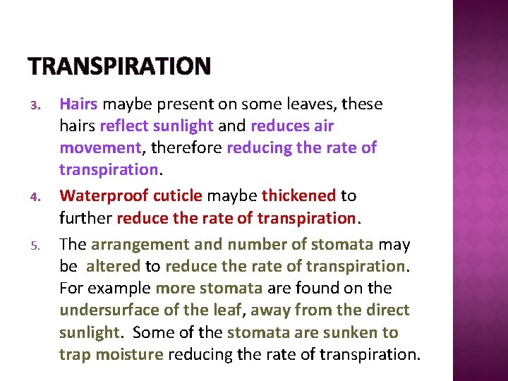 TRANSPIRATION 3. 4. 5. Hairs maybe present on some leaves, these hairs reflect sunlight