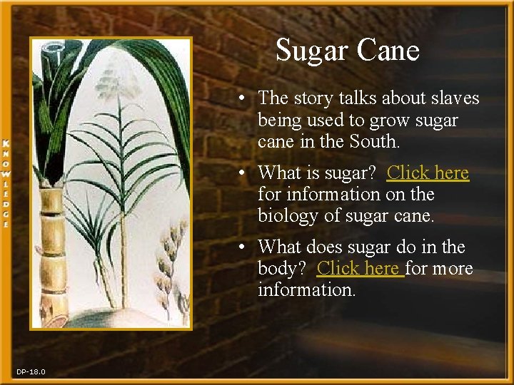 Sugar Cane • The story talks about slaves being used to grow sugar cane