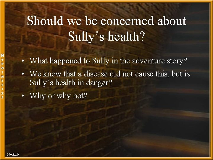 Should we be concerned about Sully’s health? • What happened to Sully in the