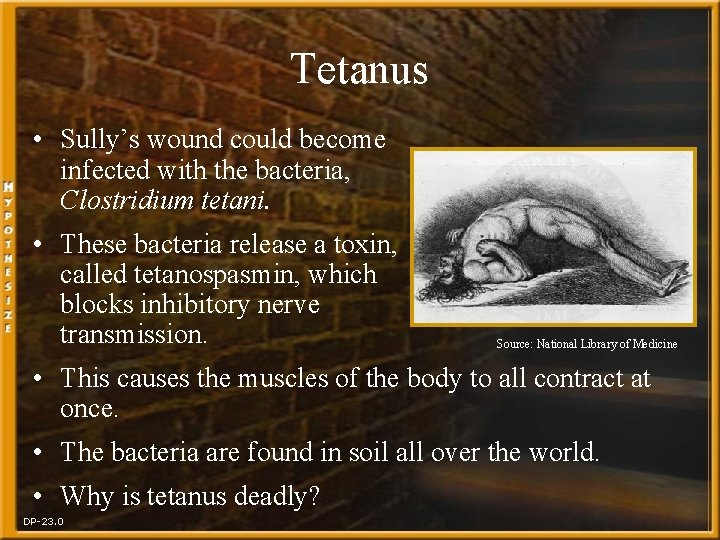 Tetanus • Sully’s wound could become infected with the bacteria, Clostridium tetani. • These