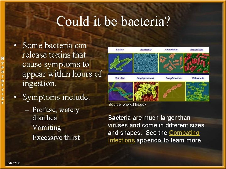 Could it be bacteria? • Some bacteria can release toxins that cause symptoms to