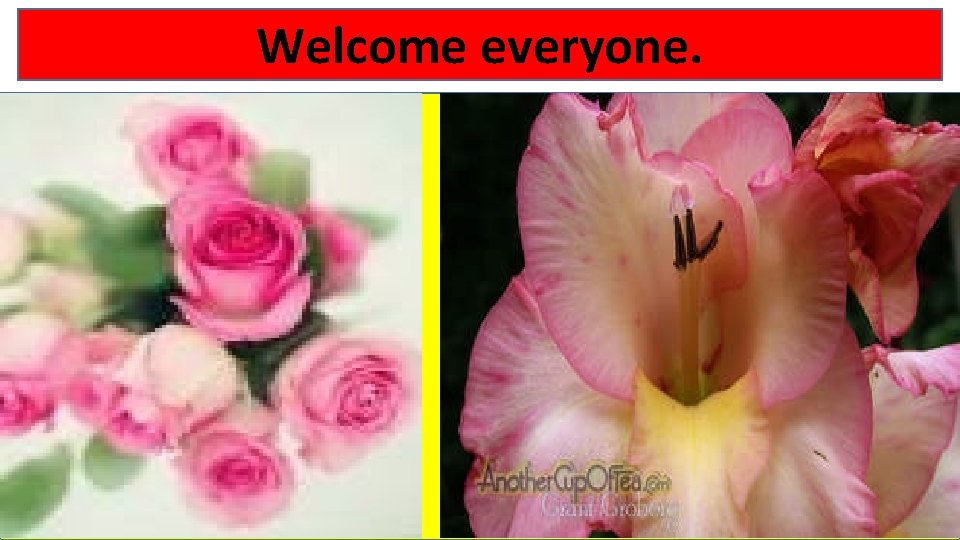 Welcome everyone. 