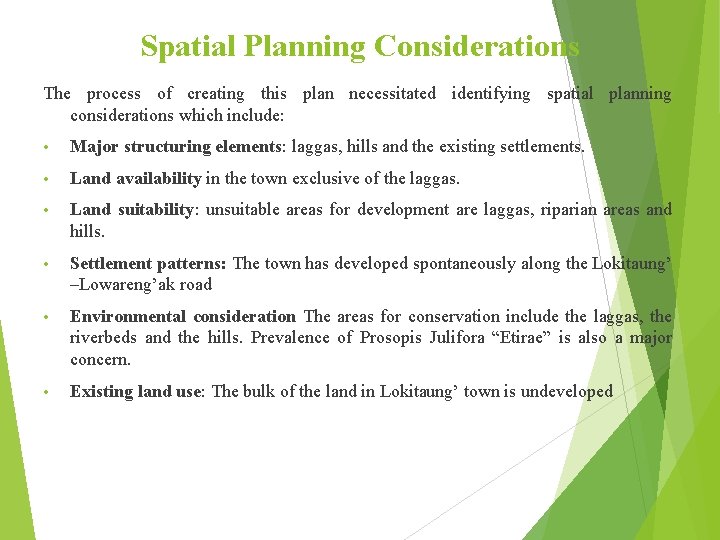 Spatial Planning Considerations The process of creating this plan necessitated identifying spatial planning considerations