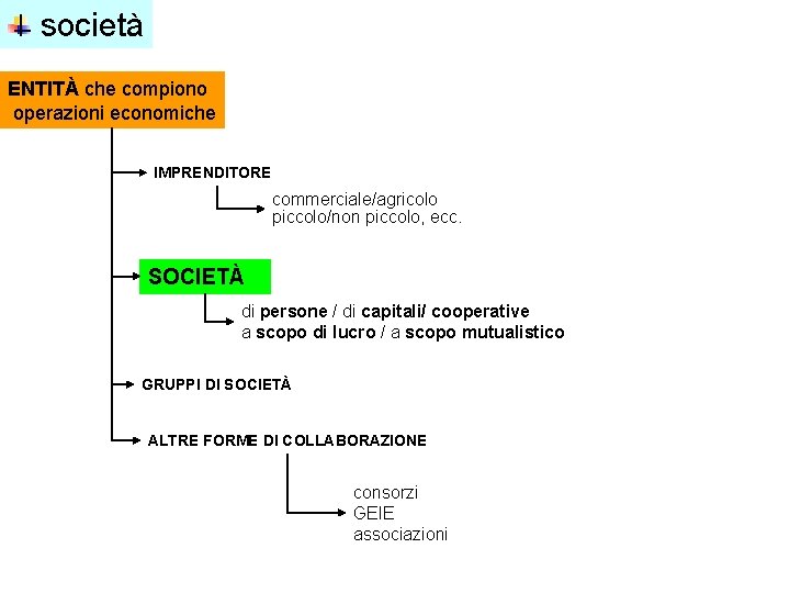 società ENTITÀ che compiono operazioni economiche IMPRENDITORE commerciale/agricolo piccolo/non piccolo, ecc. SOCIETÀ di persone