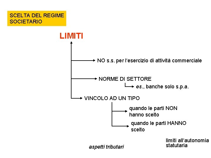 SCELTA DEL REGIME SOCIETARIO LIMITI NO s. s. per l‘esercizio di attività commerciale NORME SCELTA DEL REGIME SOCIETARIO LIMITI NO s. s. per l‘esercizio di attività commerciale NORME