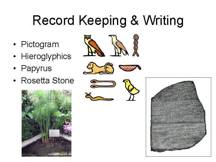 Record Keeping & Writing • • Pictogram Hieroglyphics Papyrus Rosetta Stone 