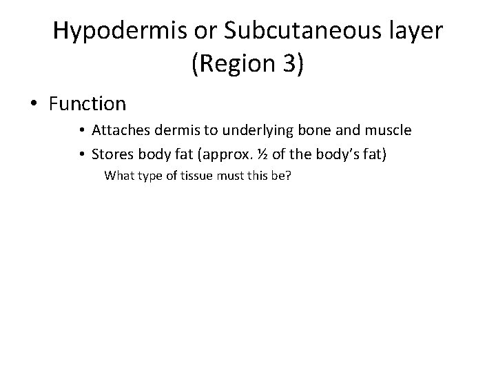 Hypodermis or Subcutaneous layer (Region 3) • Function • Attaches dermis to underlying bone