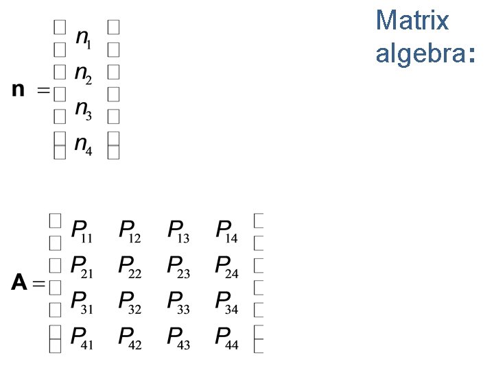 Matrix algebra: For our age-based approach 