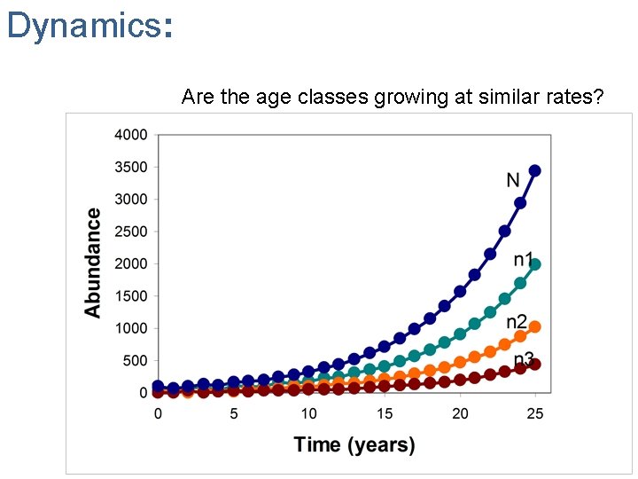 Dynamics: Are the age classes growing at similar rates? 