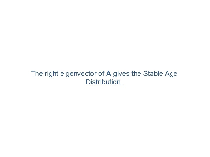 The right eigenvector of A gives the Stable Age Distribution. 