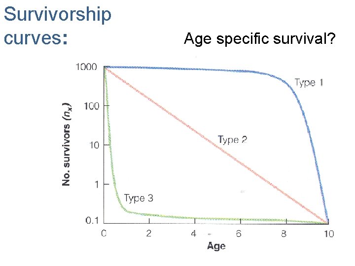 Survivorship curves: Age specific survival? 