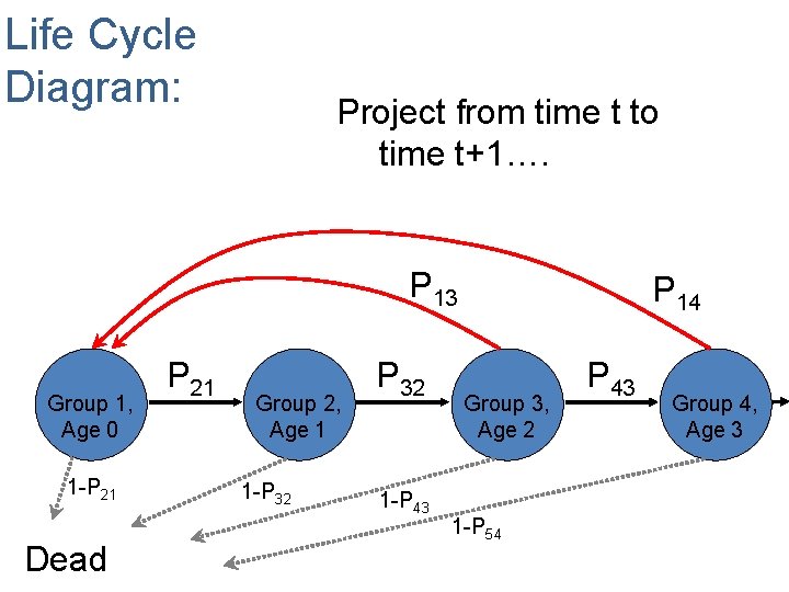 Life Cycle Diagram: Project from time t to time t+1…. P 13 Group 1,