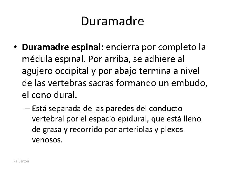 Duramadre • Duramadre espinal: encierra por completo la médula espinal. Por arriba, se adhiere