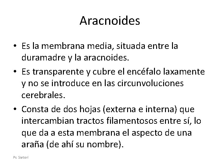 Aracnoides • Es la membrana media, situada entre la duramadre y la aracnoides. •