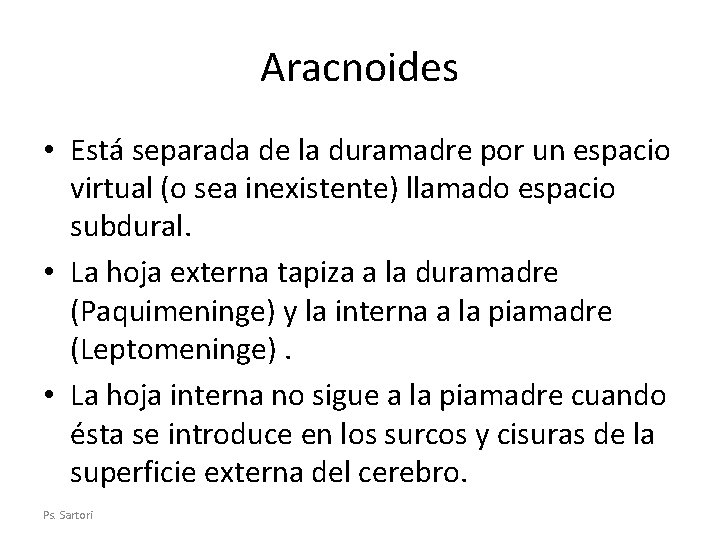 Aracnoides • Está separada de la duramadre por un espacio virtual (o sea inexistente)