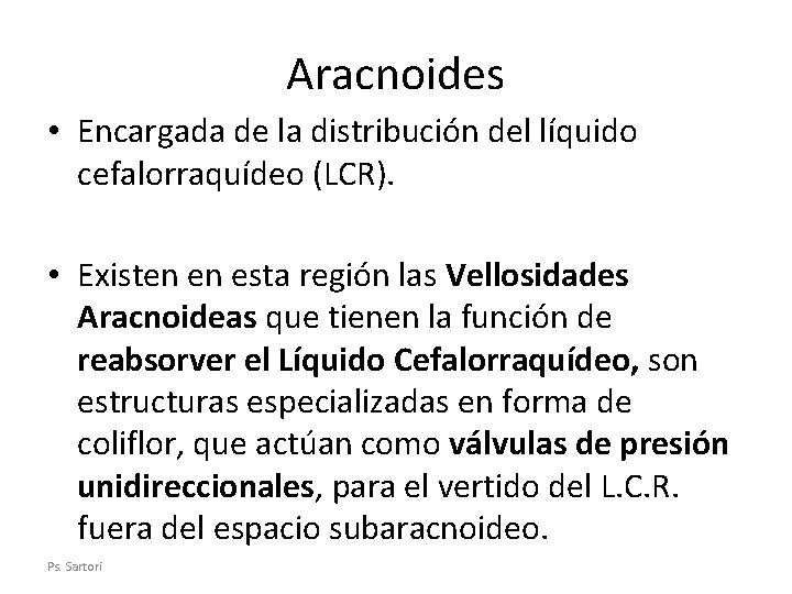 Aracnoides • Encargada de la distribución del líquido cefalorraquídeo (LCR). • Existen en esta