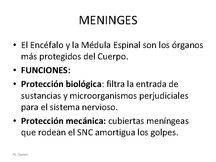 MENINGES • El Encéfalo y la Médula Espinal son los órganos más protegidos del