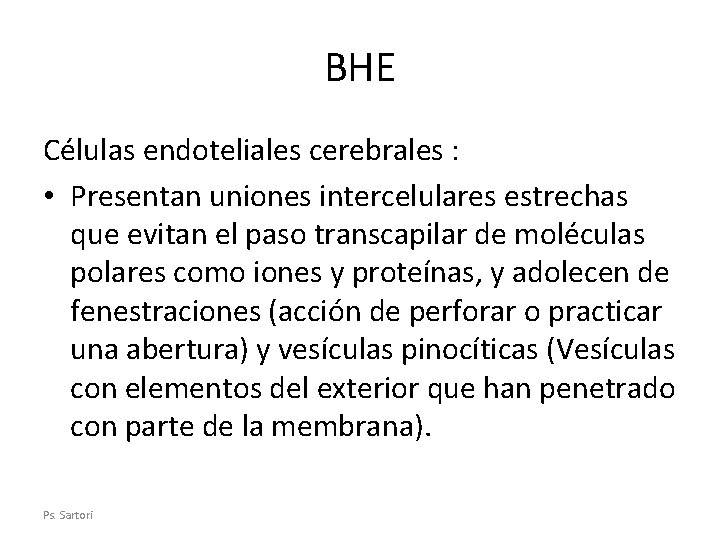 BHE Células endoteliales cerebrales : • Presentan uniones intercelulares estrechas que evitan el paso