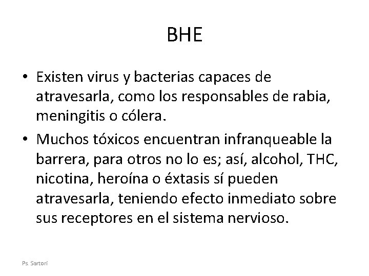 BHE • Existen virus y bacterias capaces de atravesarla, como los responsables de rabia,