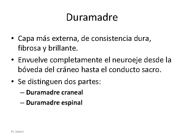 Duramadre • Capa más externa, de consistencia dura, fibrosa y brillante. • Envuelve completamente