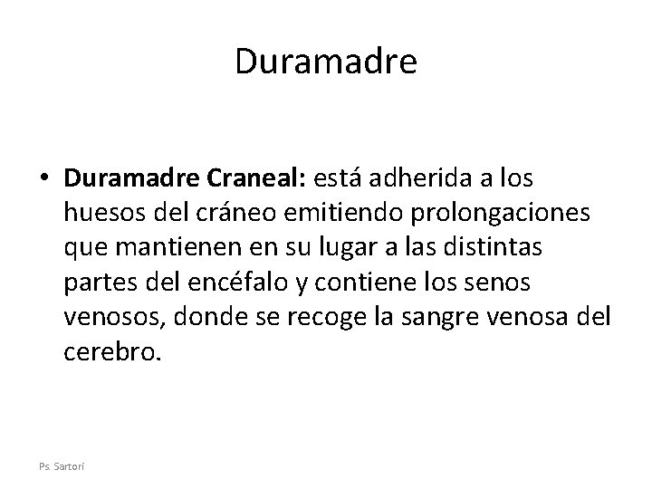 Duramadre • Duramadre Craneal: está adherida a los huesos del cráneo emitiendo prolongaciones que