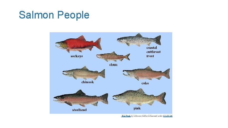 Salmon People This Photo by Unknown Author is licensed under CC BY-SA 