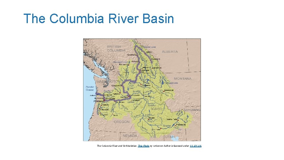 The Columbia River Basin The Columbia River and its tributaries. This Photo by Unknown