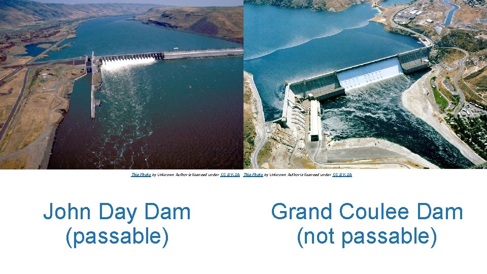 This Photo by Unknown Author is licensed under CC BY-SA John Day Dam (passable)