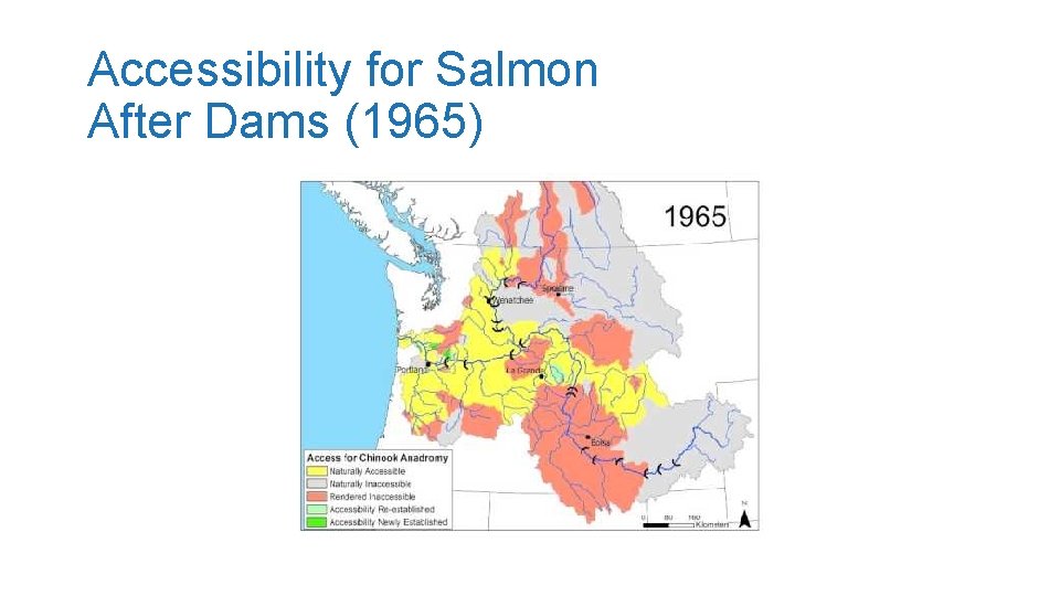 Accessibility for Salmon After Dams (1965) 