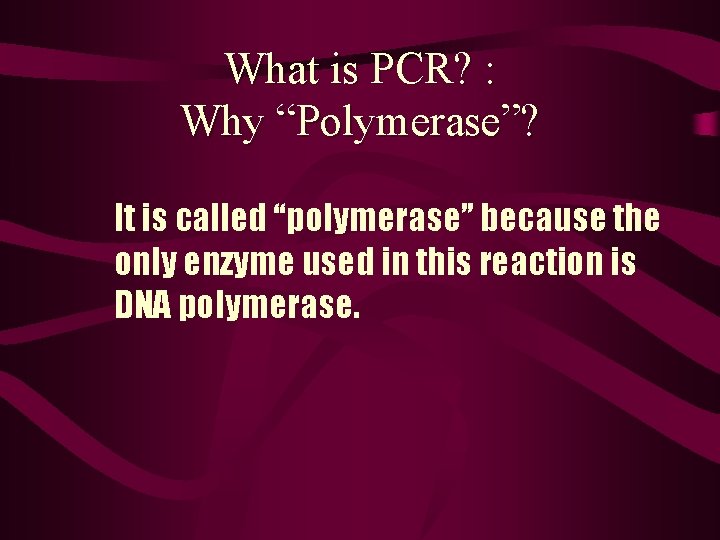 What is PCR? : Why “Polymerase”? It is called “polymerase” because the only enzyme