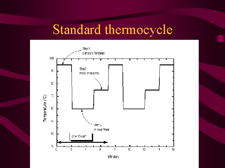 Standard thermocycle 