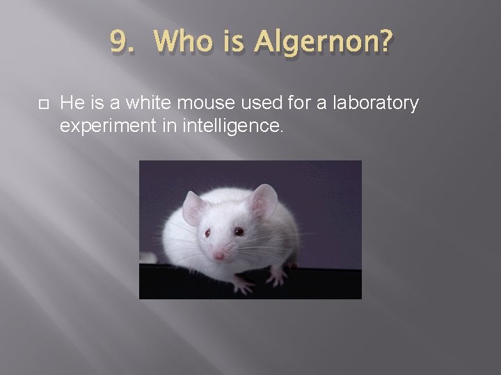 9. Who is Algernon? He is a white mouse used for a laboratory experiment