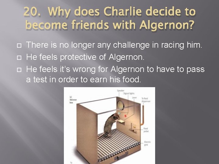 20. Why does Charlie decide to become friends with Algernon? There is no longer