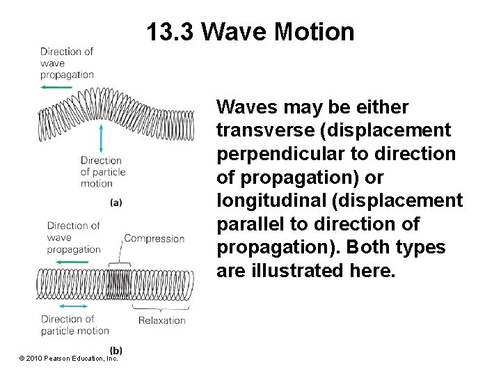 13. 3 Wave Motion Waves may be either transverse (displacement perpendicular to direction of 13. 3 Wave Motion Waves may be either transverse (displacement perpendicular to direction of