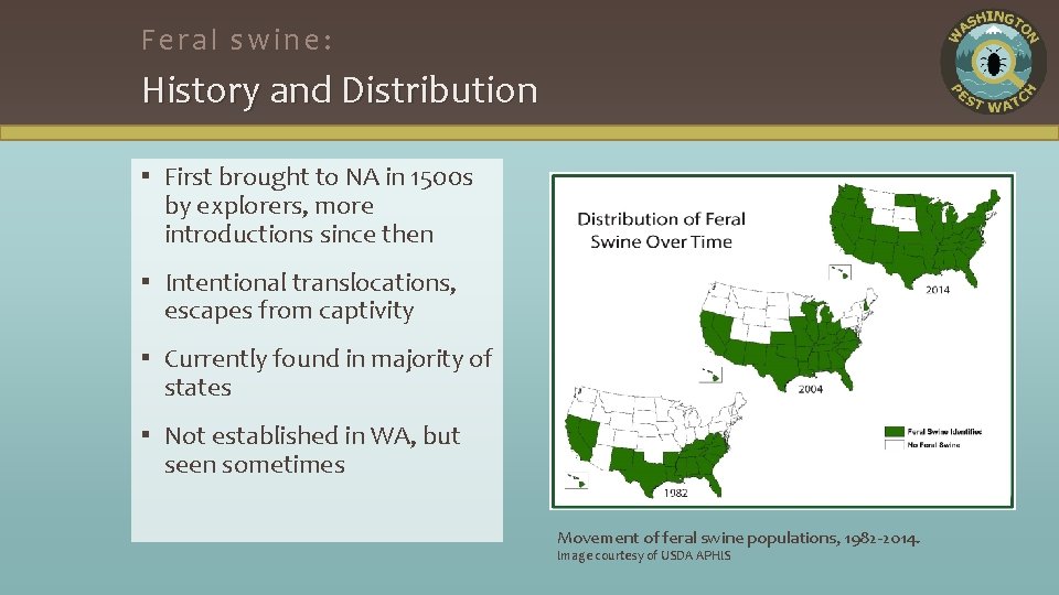 Feral swine: History and Distribution ▪ First brought to NA in 1500 s by