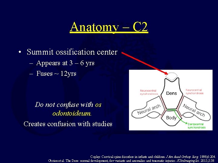 Anatomy – C 2 • Summit ossification center – Appears at 3 – 6