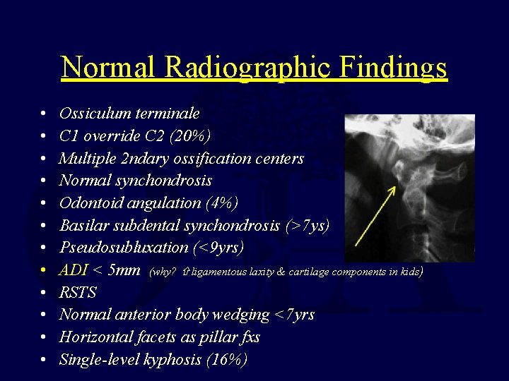 Normal Radiographic Findings • • • Ossiculum terminale C 1 override C 2 (20%)