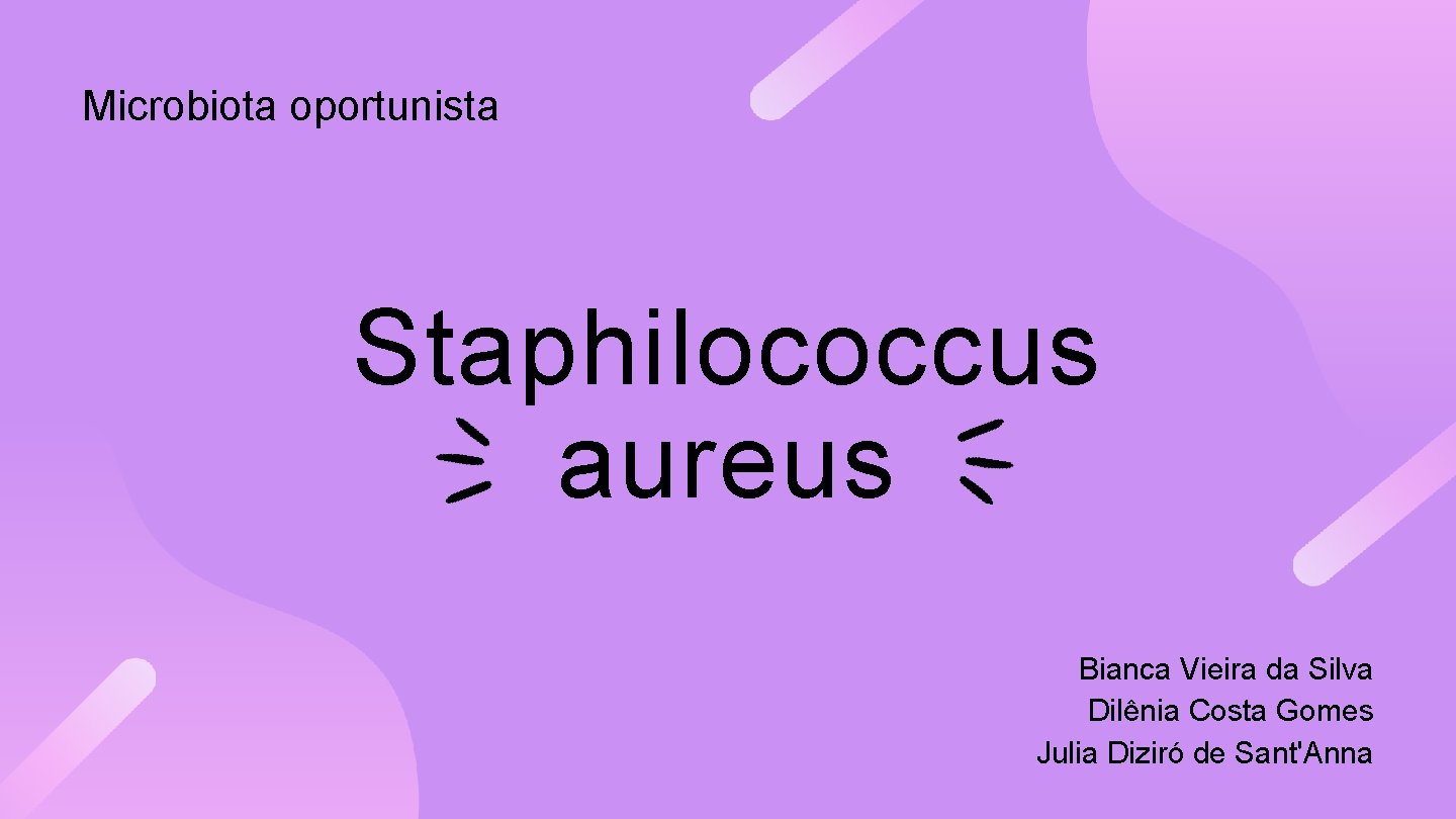 Microbiota oportunista Staphilococcus aureus Bianca Vieira da Silva Dilênia Costa Gomes Julia Diziró de