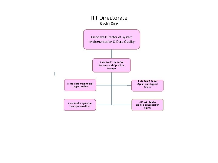 ITT Directorate Systm. One Associate Director of System Implementation & Data Quality 3 wte