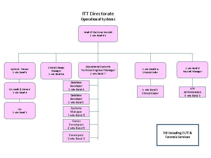 ITT Directorate Operational Systems Head of Electronic Records 1 wte Band 8 b Systems