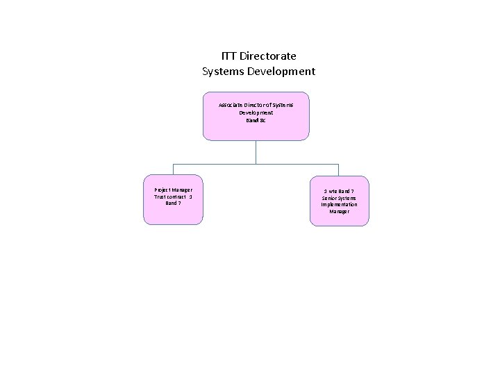 ITT Directorate Systems Development Associate Director of Systems Development Band 8 c Project Manager