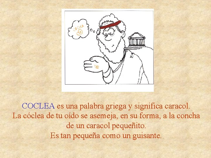 COCLEA es una palabra griega y significa caracol. La cóclea de tu oído se