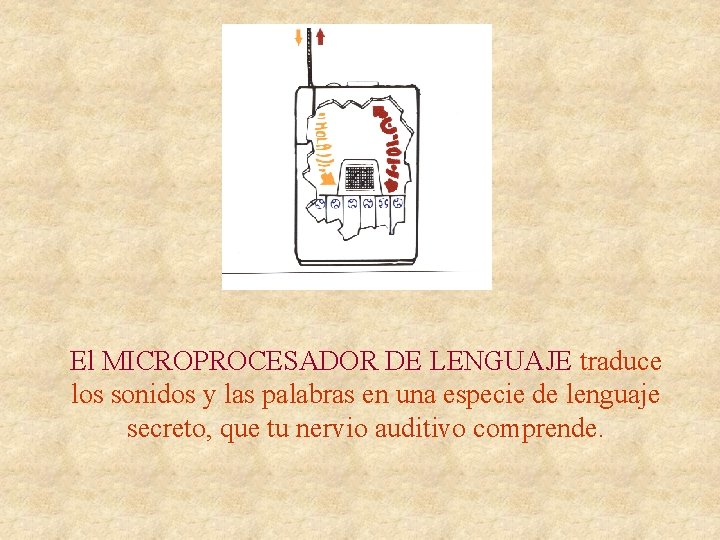 El MICROPROCESADOR DE LENGUAJE traduce los sonidos y las palabras en una especie de