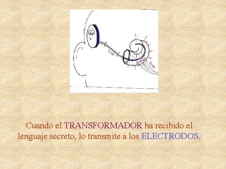 Cuando el TRANSFORMADOR ha recibido el lenguaje secreto, lo transmite a los ELECTRODOS. 